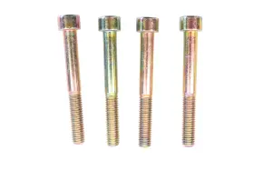 420841841 Aftermarket Socket Head Screws Qty 4 Nos