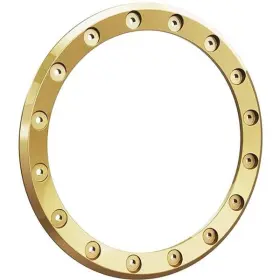 705401913 Can-am Accessories Oem 14 Inch Maverick Beadlock Ring Cast Aluminum Replacement Mpn