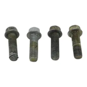 3084877 Polaris 2005 Sportsman 400 Water Pump Cover Bolts