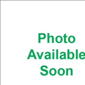 52-975 Show Chrome Flag Pole -