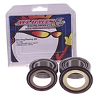 Balls Steering Stem Bearing Kit 22-2019 AB22-1019 6700-406 New. Price: $57.84.