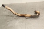 2001 Suzuki King Quad LTF300F 4X4 Oem Exhaust Header Pipe 14150-19BB0 Used. Price: $30.95.