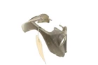 Honda Rincon 680 Fa 09 Lower Gauge Housing 53210-HN8-000ZA 54332 Used. Price: $14.97.