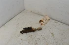 2007 Yamaha Grizzly 400 Rear Brake Master Cylinder 5KM-2583V-00-00 Used. Price: $18.99.