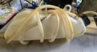 Oem Yamaha Recovery Tank 5GS-21871-00-00 *fits Many* Used. Price: $34.97.