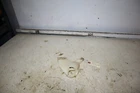 06-23 Honda Rincon TRX680 Fga Throttle Body Cover 16721-HN8-A60 Used. Price: $10.00.