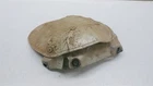 2022 Arctic Wildcat Xx Alternator Heat Shield 1412-161 1412-162 Used. Price: $35.99.
