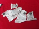 Polaris 6 Pack Nut New Oem Nos 7520117. Price: $20.00.