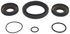 Balls 2020 TRX520FM6 Rubicon 4X4 Irs Honda Differential Seal Kit Front 25- New. Price: $41.09.