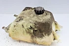 1996 Polaris Xplorer 400 Gas Tank Fuel Cell Petrol Reservoir 2511244 163P Used. Price: $119.00.