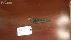 Suzuki 05-09 / 11-19 Boulevard 01-04 Intruder Volusia 800 Rear Back Brake Link Used. Price: $19.00.