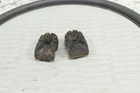 2009-2014 Polaris Sportsman Xp 550-850 Eps Seat Grommets 5413691 Used. Price: $16.00.