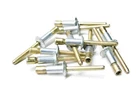 Oem Polaris 7661845 Rivet Qty 11 Nos New. Price: $16.99.
