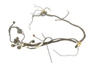Yamaha Kodiak 450 04 Wiring Harness Chassis 5ND-82590-20-00 54343 Used. Price: $119.99.
